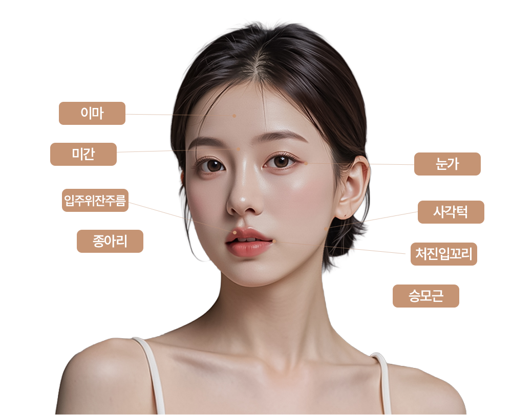 엘란쎄 시술 부위